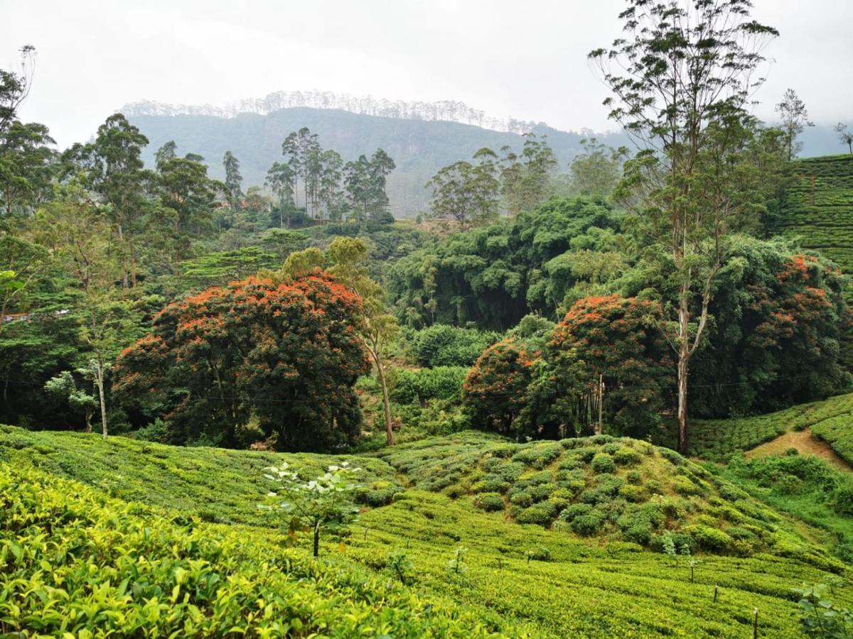 Butterfly Mountain Lake Side Maskeliya Exterior photo