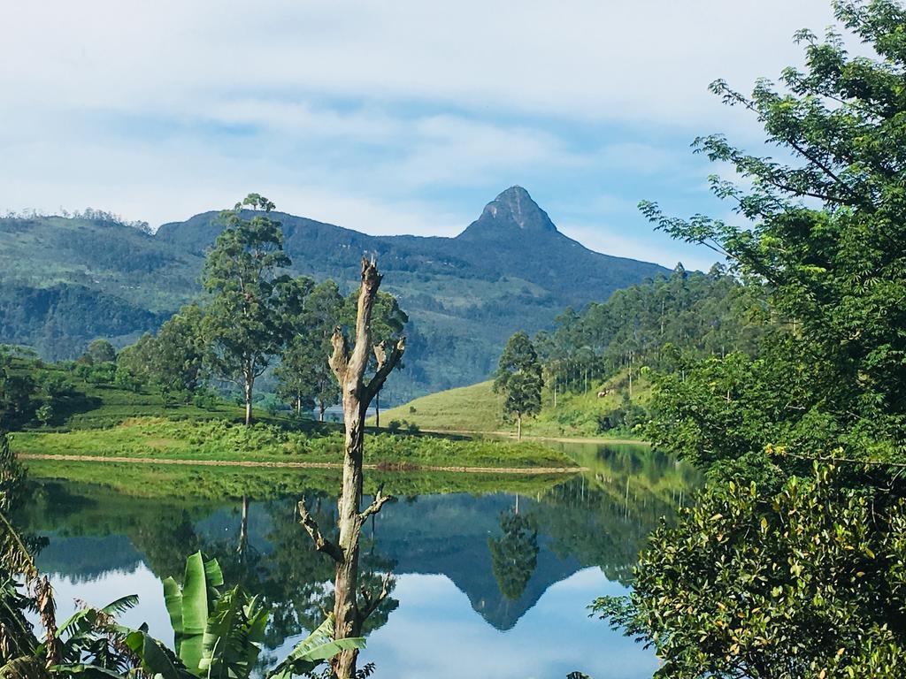 Butterfly Mountain Lake Side Maskeliya Exterior photo