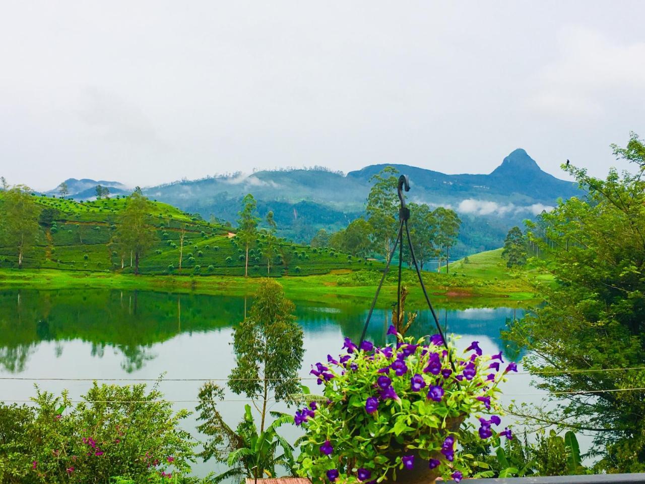 Butterfly Mountain Lake Side Maskeliya Exterior photo