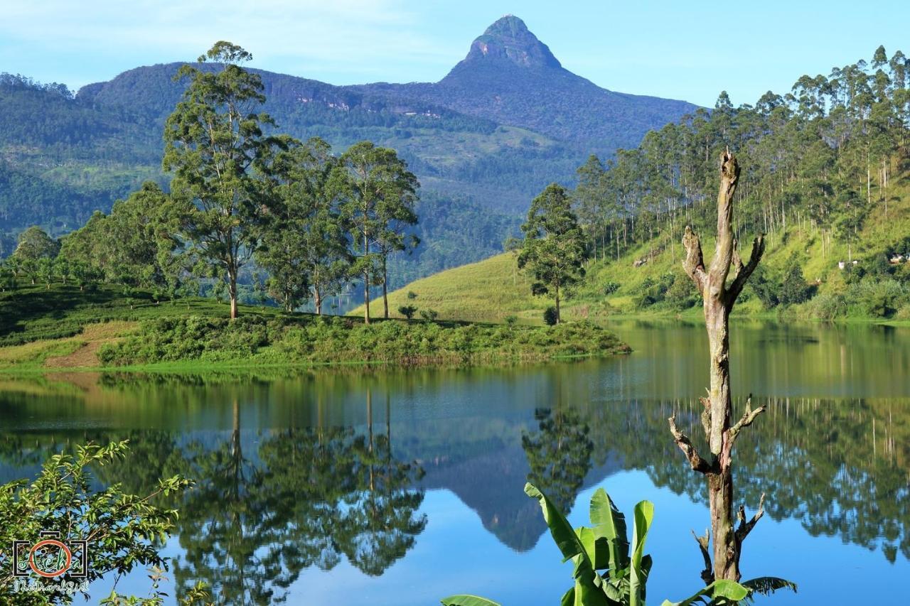 Butterfly Mountain Lake Side Maskeliya Exterior photo